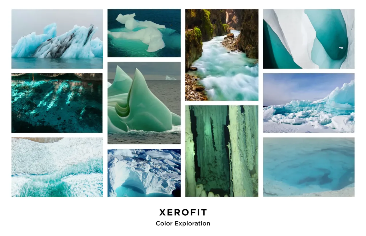 Xerofit Color Exploration In Nature