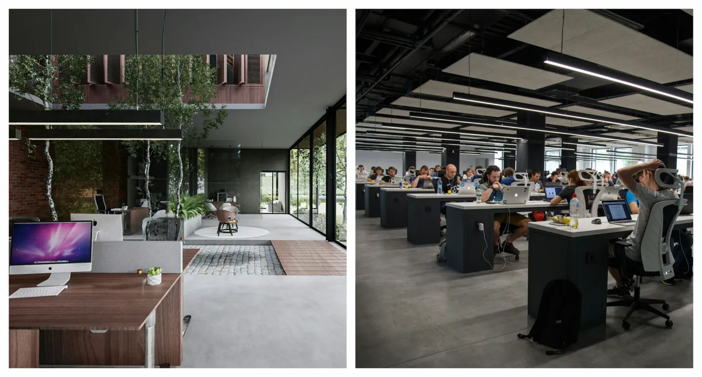 Biophillic Design Compared to Traditional Office Workspace