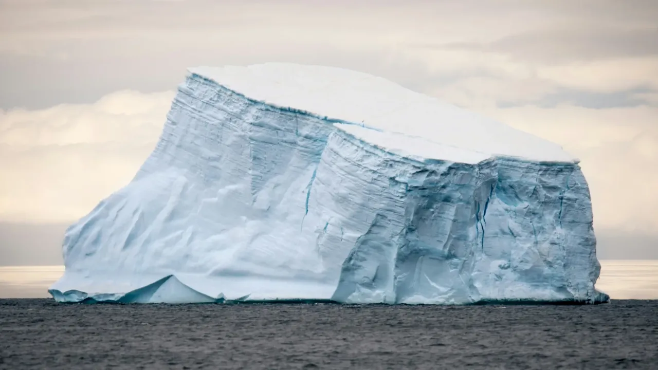 Xerofit Iceberg